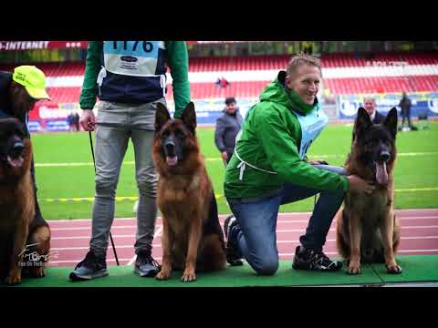 USHER aus der Brunnenstraße VA1 | SV - BSZS 2022 | The story