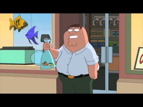 Family guy - tropical fish