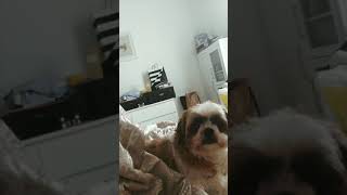 best friend forever :)