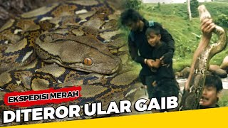 Download lagu Diteror Ular Gaib - Ekspedisi Merah mp3