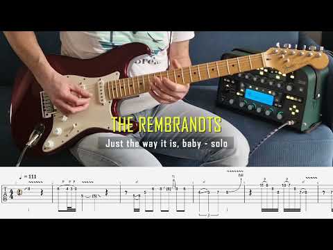 The Rembrandts - Just the way it is, baby Solo Cover #5