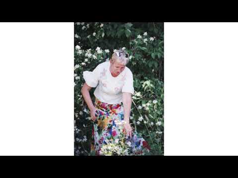 Analog Photography | 2019.06.23. Cesis | ruu.lv