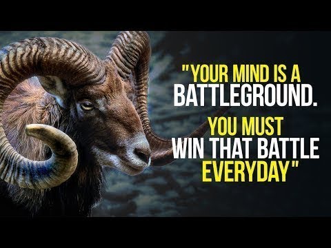 RETRAIN YOUR MIND - New Motivational Video Compilation