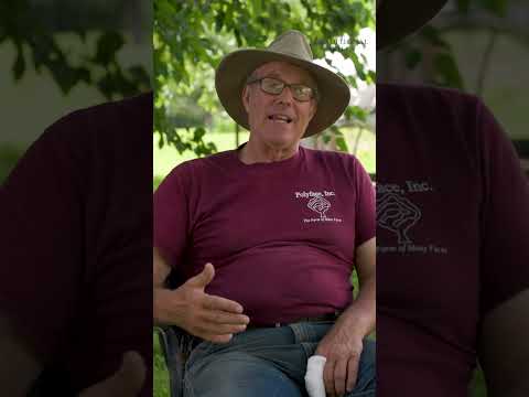 What is the easiest way to maintain my fertile pastures?