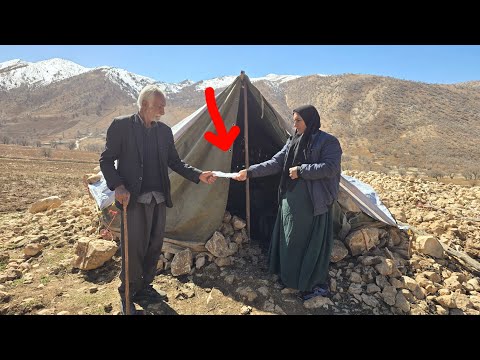 Her Son and Daughter-in-Law Kicked Her Out… But Days Later, a Land Contract Changed Everything