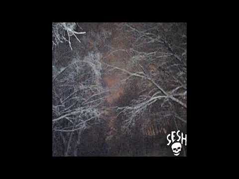 04. Vegard - Motsigelse [Contradiction]