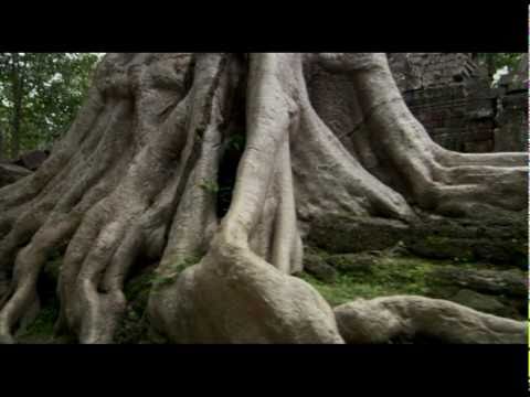 Calibat - Temples of Angkor