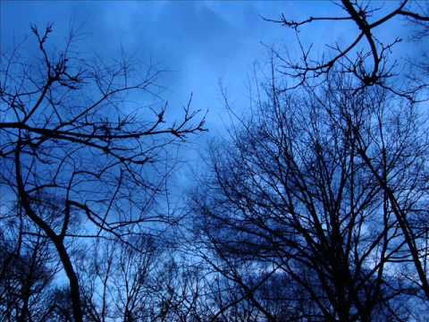 Vinterland-A castle so crystal clear