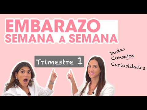 🤰🏻Pregnancy Questions, Advice, and Fun Facts: First Trimester! | Mifarma Pharmacy