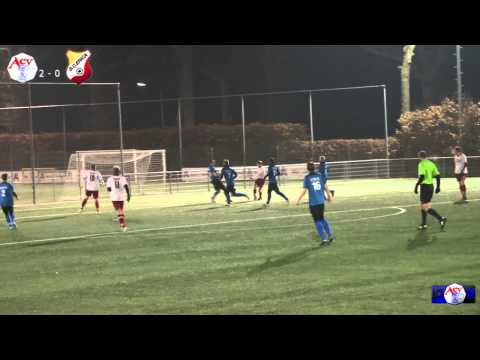 Samenvatting ACV   sc Erica