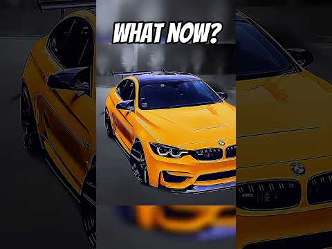 dogs are bmw #bmw #race