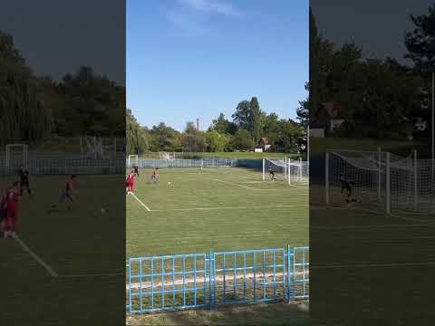 Video-Miniaturansicht