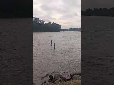 Llegada, descanso y contemplación.. Río Luján. Villa La Ñata. Buenos Aires.