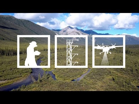 The Spatial Sampling Design of NEON Terrestrial Field Sites