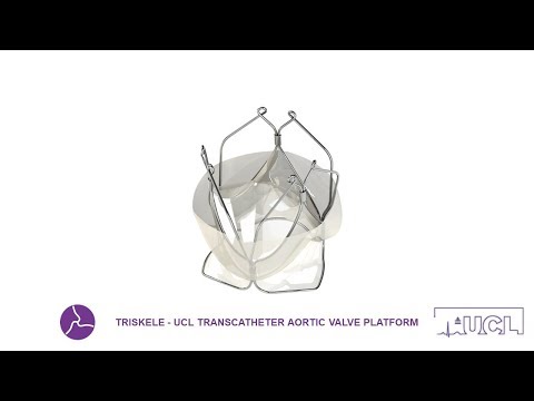 TRISKELE: Expanding the horizons of transcatheter aortic valve replacement