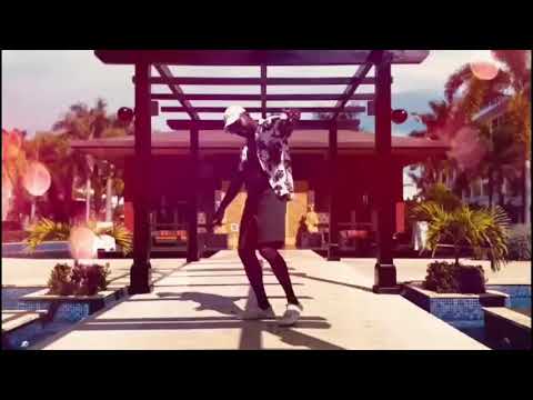 Rockwelz - Bronx Tails (Official Music Video)