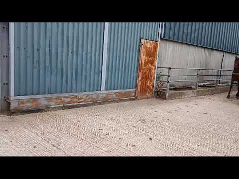 Video 1