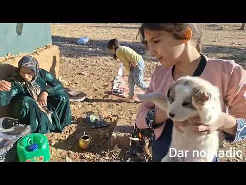 Finding Samana by the Sky Man and keeping the dog