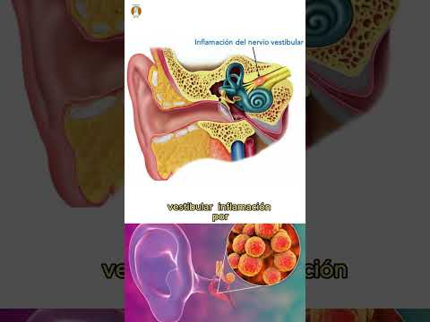 Valeska  Delgado Diocares-11