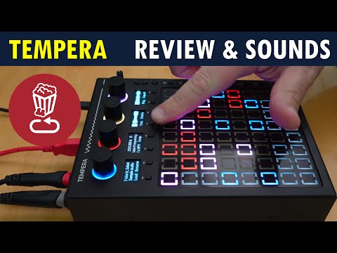 Beetlecrab Tempera 2026 - Granular Synthesizer & FX Processor image 19