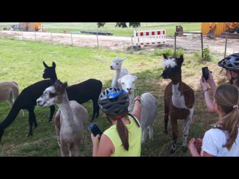 TSV Auerbach Volleyball - Jugendfreizeit 2016