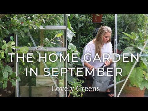 , title : 'The Home Garden in September