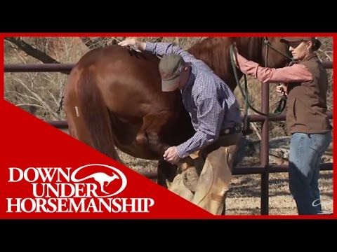 Clinton Anderson Presents: Kicking A Bad Habit