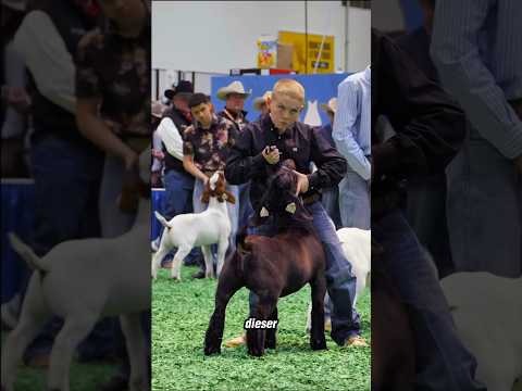 Warum starrt ihn dieses Kind so an? 😳