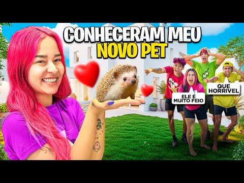 I INTRODUCED MY PORCUPINE TO THE PINK GROUP *did it hurt?