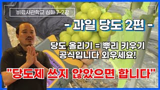 당도제 영양제 쓰지 않으셨으면 좋겠어요 당도 올리는 비료을 넣어주세요! 당도는 뿌리에서 시작됩니다. | 비료…