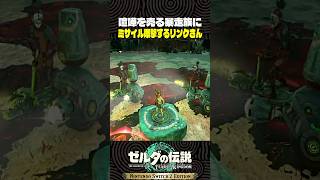 喧嘩を売る暴走族にミサイル爆撃するリンクさん【ゼルダの伝説 ティアキン】