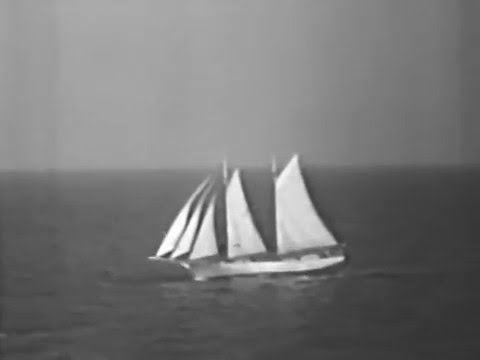 Adventures In Paradise