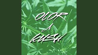 El Cigarrito Bañado