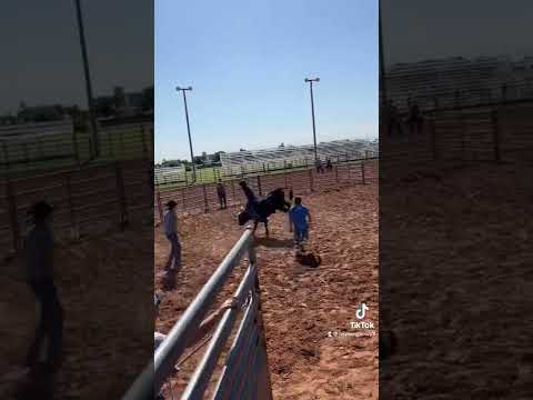 Got on some cool ones at Cody Custer bull school