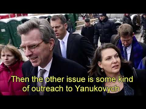Nuland Pyatt  leaked phone conversation. "F**k the EU!"