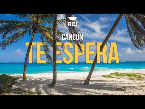 Videos del Park Royal Beach Cancun 4★ en Cancún, MéxicoVerPrecios19CerrarConsulta por Whatsapp 🇦🇷BookingTripadvisorExpediaAgodaTravelocityOrbitzPricelineTripSkyscannerDespegarKayakHotelesBestdayDestiniaTrivagoTurismocityAlmundoLastminuteHotwire