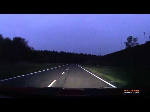 Sarny wbiegają pod koła na torze Sobiesław Zasada Centrum w Bednarach