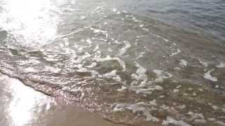 ANDREA BOCELLI, LA VOZ DEL SILENCIO. ESPAÑOL