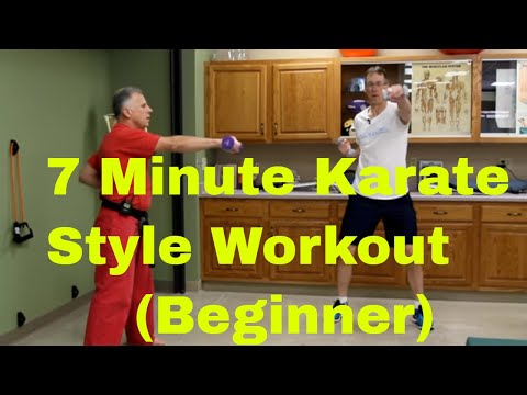 Fantastic 7 Min. Karate Style Workout (Arms & Legs) (Beginner)  No Karate Experience Needed.