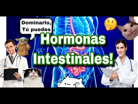 TODAS LAS HORMONAS INTESTINALES