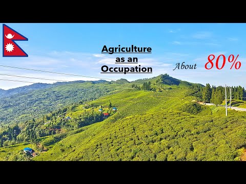 Agriculture as an Occupation | Food Crops, Cash Crops, Mixed Crops | Discussed