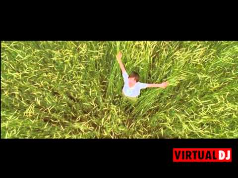 DJ almightY: Wheat field