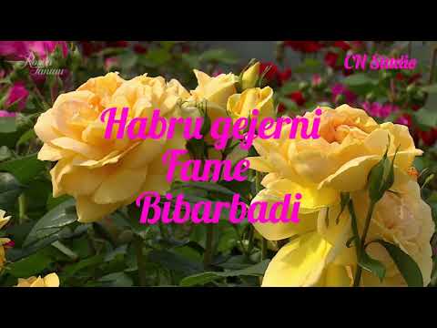 New bodo gospel song Habru gejerni fame bibarbadi