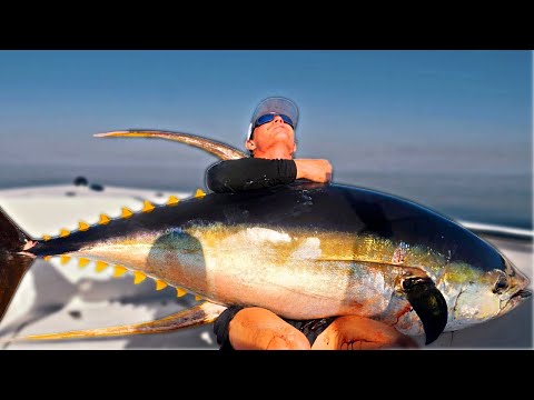 MONSTER Yellowfin Tuna in a 22FT Boat! {Topwater Incredible Footage!}