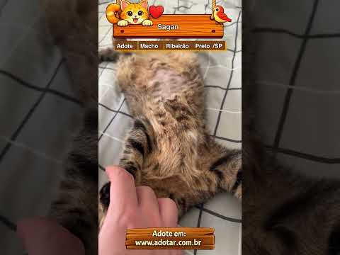 Vídeo de Sagan