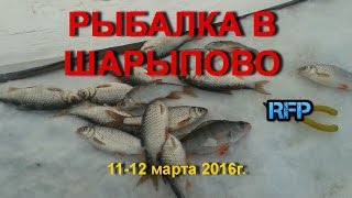 Рыбалка зимой в шарыпове