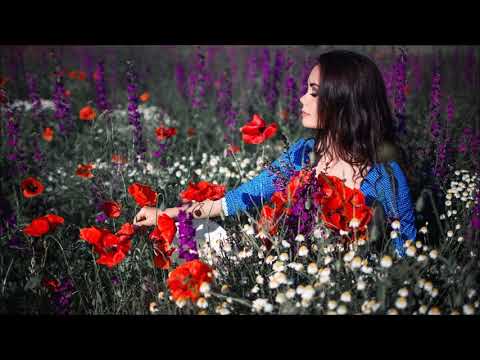 Cyrus The Virus Vs Senja - Kingdome Of Heaven