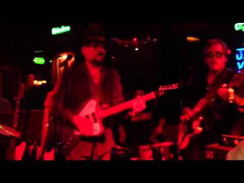 Jimmy Vivino and harp