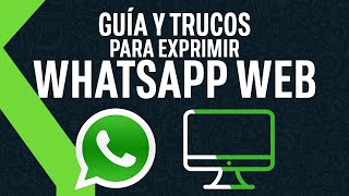 WhatsApp Web: NIVEL DIOS