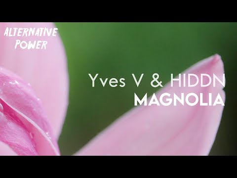 Yves V & HIDDN - Magnolia (Fabro's Extended Mix)